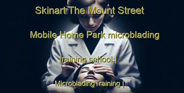 Skinart The Mount Street Mobile Home Park microblading training school | MicrobladingTraining | MicrobladingClasses | SkinartTraining-United States